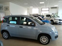 FIAT PANDA 1.2 EASY POWER GPL DEL 2022 pieno