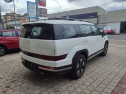 HYUNDAI SANTA FE pieno