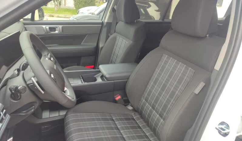 HYUNDAI SANTA FE pieno