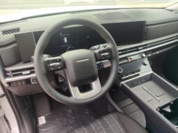 HYUNDAI SANTA FE pieno