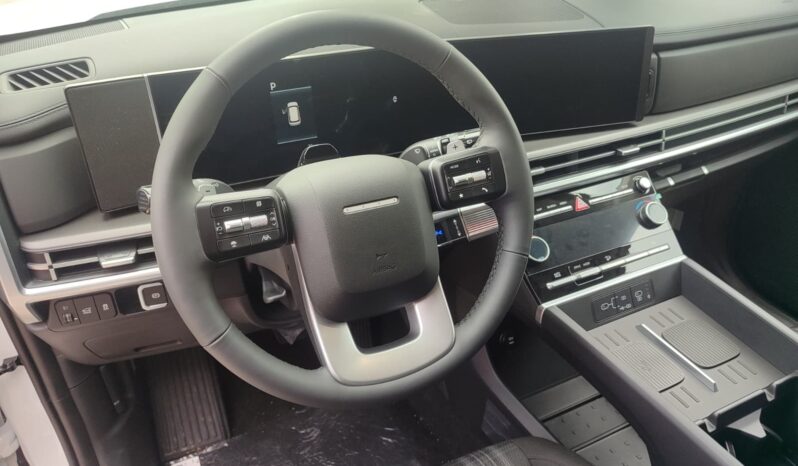 HYUNDAI SANTA FE pieno